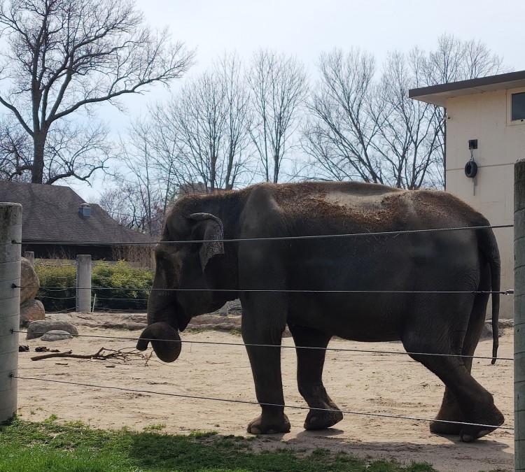 topeka-zoo-conservation-center-photo